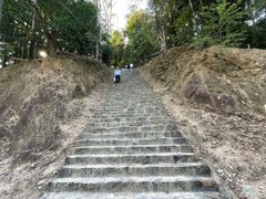 -大尖山公园