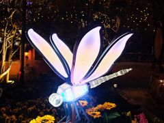 -中山路壹号传奇club·啤酒花园餐厅