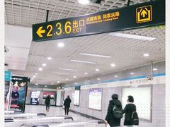 -陆家浜路(地铁站)