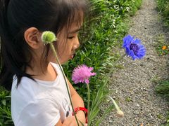 -前小桔亲子创意农场·草莓采摘·露营烧烤