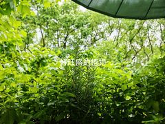 -Ginger(兴国路店)