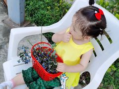 -金谷域澳洲庄园