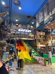 -卡通尼·Safari非洲探索乐园·生日会(金桥国际商业广场店)