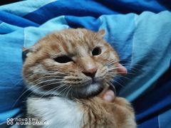 -瑞鹏宠物医院·爱宠堂·骨外专科(西荷分院)