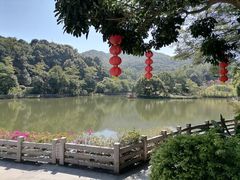-广州市帽峰山景区