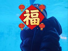 -海合安成都极地海洋公园