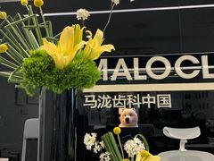 -马泷齿科·成都锦江置略马泷口腔门诊部(IFS国金中心店)