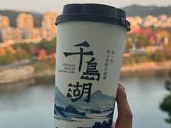 -老淳安—伴山伴湖(千岛湖开元度假村店)