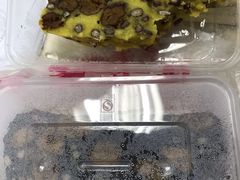 -清真老西北角温记粘食店(长沙路店)