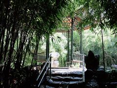 -杭州植物园