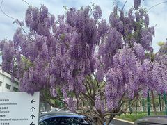 -北京京宝行宝马4S店(闵庄路店)