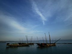 -贡湖湾湿地公园