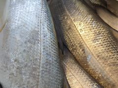 -浦商菜市场·锦德店