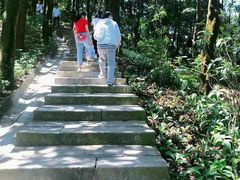 -田园山庄农家乐(石岩店)