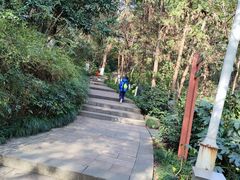 -杭州半山国家森林公园