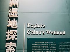 -中国湿地博物馆