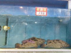 -东江海鲜大排档·潮汕菜·砂锅粥