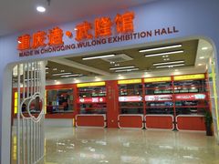 -中国石化加油站(武隆服务区北侧站)