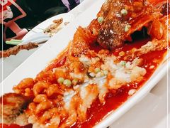 -紫光园(顺义店)