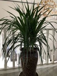 -痘博士昆明·国际祛痘领跑品牌