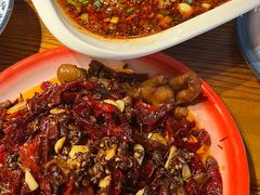 -柴窝堡22号辣子鸡·传承新疆菜