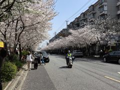 -宝山第一中心小学