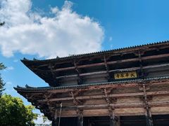 -奈良公园