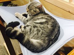 -小时光咖啡馆(开森度假森林店)