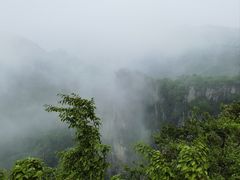 -王莽岭风景区