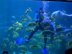 -左海海底世界
