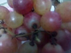 -柯剑飞超级水果批发中心(东港店)