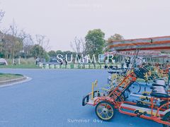-贡湖湾湿地公园