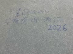 -正佳冰河湾真冰滑冰场