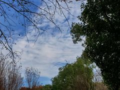 -昆山城市生态森林公园