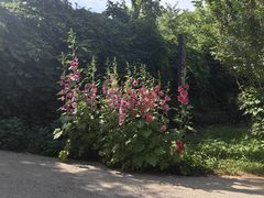 -十渡高山漂流