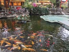 -白家大院·王府宫廷菜(苏州街店)