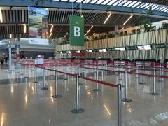 -西沃古尔·拉姆古兰爵士国际机场