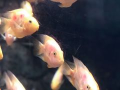 -苏州海洋馆
