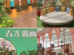 -盈香心动乐园