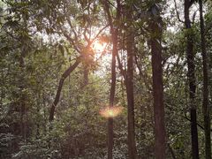 -火炉山森林公园