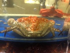 -海景壹号大酒店(滨湖店)