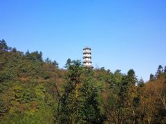 -娄山关景区