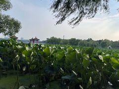 -长春市南湖公园