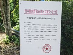 -野象谷景区