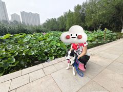 -前关湿地公园