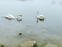 -北龙湖湿地公园