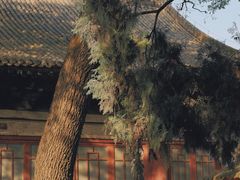 -西安碑林博物馆