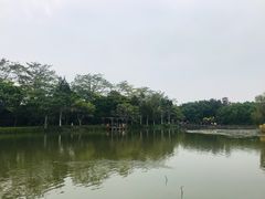 -大湾区中央湿地公园
