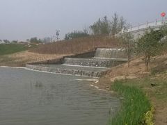 浐霸湿地公园-西安浐灞国家湿地公园