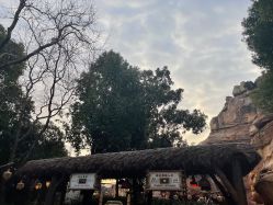 -翱翔飞越地平线